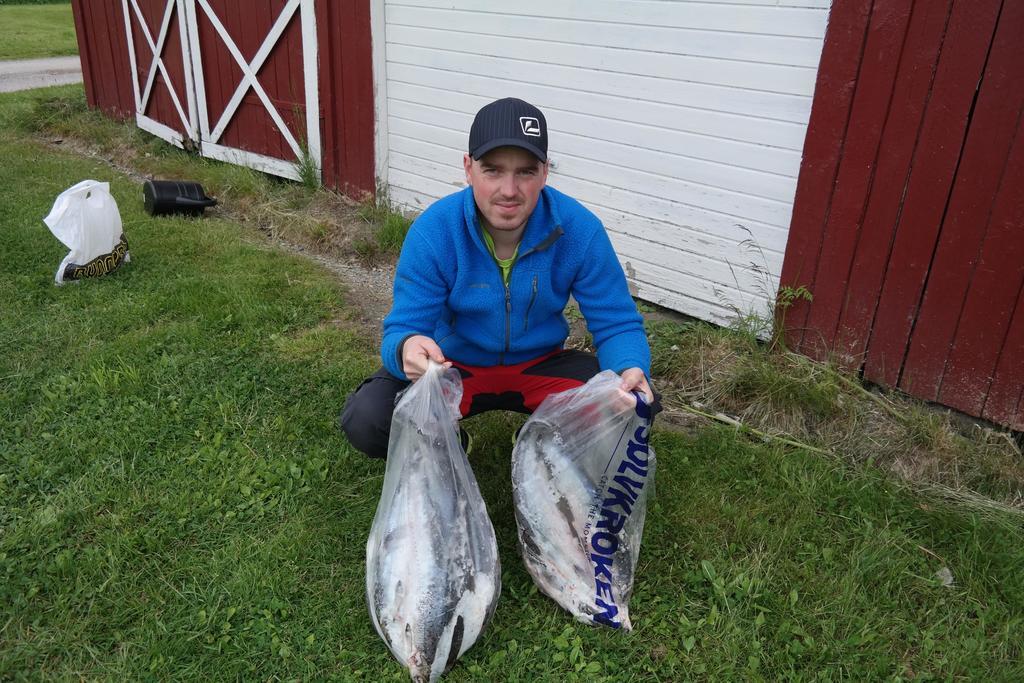 Holmset Camping And Fishing Namdalseid Bagian luar foto